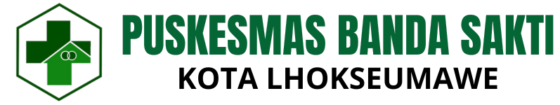 Dinas Komunikasi Informatika dan Persandian Kota Lhokseumawe